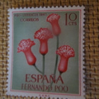 Fernando Poo 1967: kukkia - pikkukuva 2