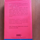 Amerikan Lapset Anne Tyler - pikkukuva 2