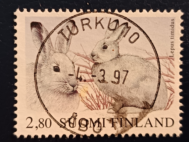 -97 Metsäjänis. EP-Loisto