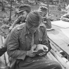 Lämminhenkinen v. 1944 rintamamies puhdetyö loistava taulu - pikkukuva 5