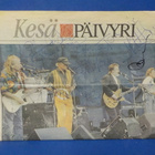 THE BEACH BOYS KESÄ PÄIVYRI LEHTILEIKE NIMMARIT RARE - pikkukuva 1
