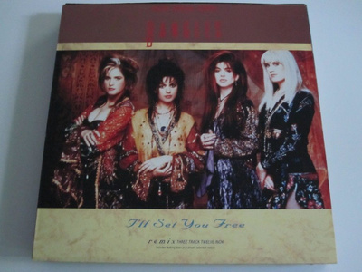 Bangles: I'll Set You Free (Remix 12")