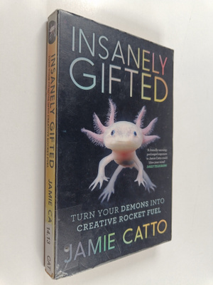 Jamie Catto : Insanely Gifted