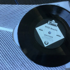 Wild Beasts . Albatross / Smother 7” LP vinyyli - pikkukuva 2