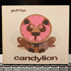 GRUFF RHYS - Candylion cd digipak (Indie Rock) - pikkukuva 1