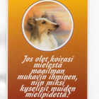 °°JOS OLET KOIRASI MIELESTÄ...." -KORTTI / Positiivarit - pikkukuva 1