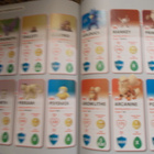 POKEMON - pikkukuva 2