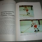Kallun kiekkokoulu Tappara - pikkukuva 3