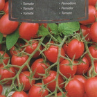 Tomaatti siemenet - Raspberry Red Hood # - pikkukuva 1