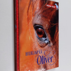 Merja Jalo : Hurjapää Oliver - pikkukuva 1