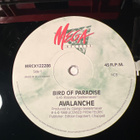 Avalanche - Bird Of Paradise 12” Maxi - pikkukuva 3