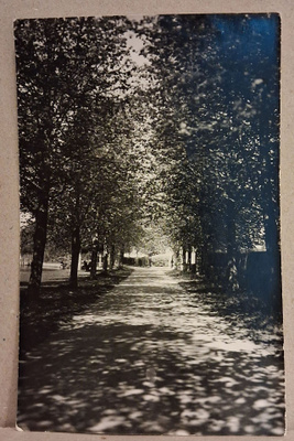 Heinola: Rantapuisto *** (28)