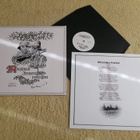 FLAMMENTOD - Morpheus Armen Entrissen LP - pikkukuva 1