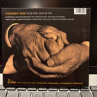 SUBURBAN TRIBE - Now And Ever After cd digipak - pikkukuva 2