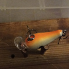 Rapala mini Fat Rap 3cm - pikkukuva 4