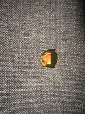 Meidän Jani pinssi ATLANTA 1996