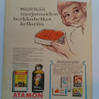Kotiliesi No 13 heinäkuu 1963 - pikkukuva 2