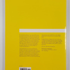 Gavin Lucas : Guerrilla advertising - pikkukuva 2