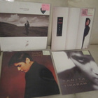 Tanita Tikaram LP 4 ekaa - pikkukuva 1
