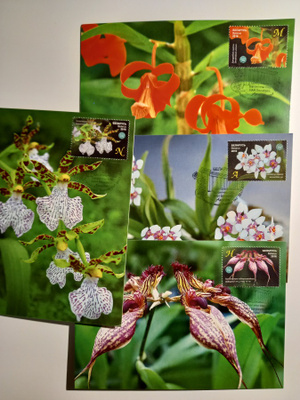 ORKIDEAT sarja MAKSIKORTIT x4 Valkovenäjä 2016