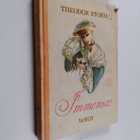 Theodor Storm : Immensee ja muita novelleja - pikkukuva 1