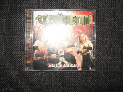 TERÄSBETONI*Metallitotuus*CD
