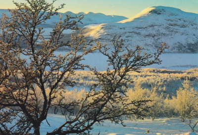 Kilpisjärvi