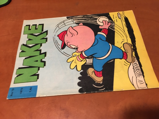 NAKKE LEHTI 13/1973 HYVÄ