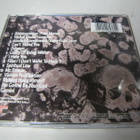 SLAYER - UNDISPUTED ATTITUDE CD KERRYN JA PAULIN NIMMAREILLA - pikkukuva 2