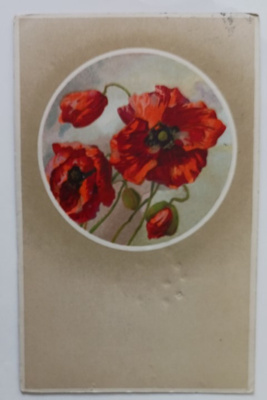 Tulipunaiset unikot, ympyräkortti, p. 1917
