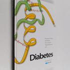 Pirjo Ilanne-Parikka : Diabetes - pikkukuva 1