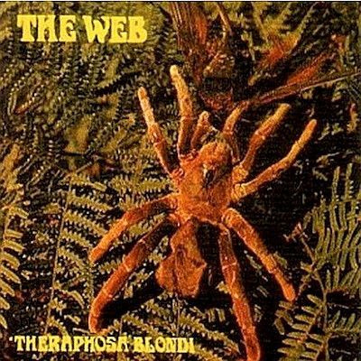THE WEB - Theraphosa Blondi v.1969