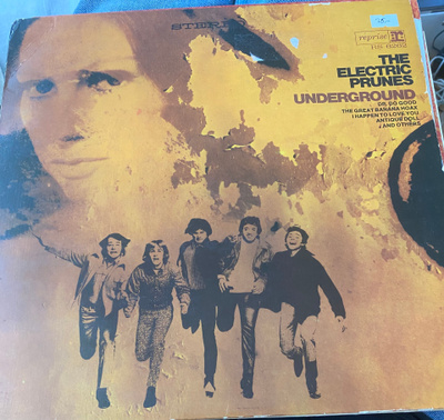 The Electric Prunes: Underground 1967 LP