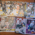 Mighty Ducks 42kpl - pikkukuva 2