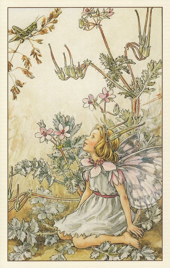 Cicely Mary Barker: Kukkakeijut kurjennokka