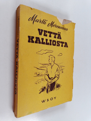 Martti Merenmaa : Vettä kalliosta