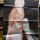 MARILYN MONROE / BOBBERS VANHA SUOSIKKI JULISTE - pikkukuva 1