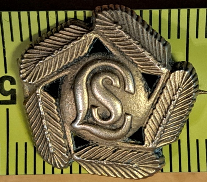 LOTTA SVÄRD LIIKUNTAMERKKI