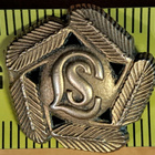 LOTTA SVÄRD LIIKUNTAMERKKI - pikkukuva 1