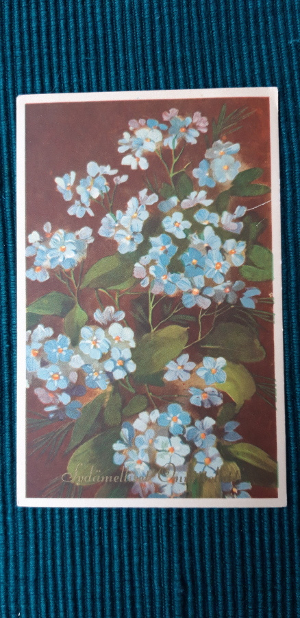 Vanha kukkakortti, kuvataide kortti  v. 1953