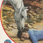 Sharon Siamon: Preerian mustangit - pikkukuva 1