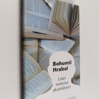 Bohumi Hrabal : Liian meluisa yksinäisyys - pikkukuva 1