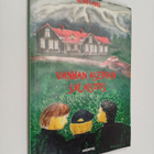 Henry Aho : Vanhan aseman salaisuus - pikkukuva 1