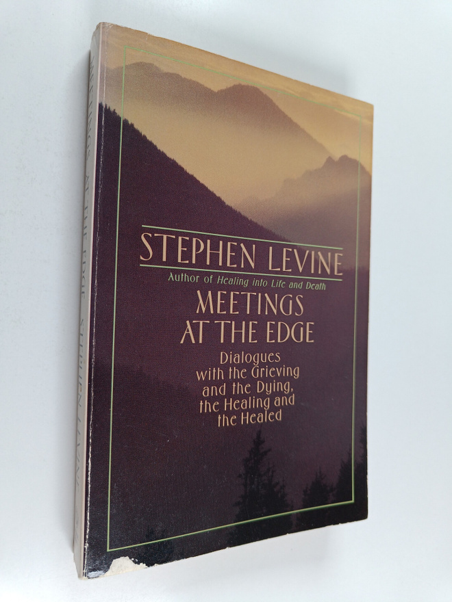Stephen Levine : Meetings at the Edge - Dialogues with th...