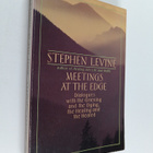 Stephen Levine : Meetings at the Edge - Dialogues with th... - pikkukuva 1