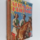 Harald Selmer-Geeth : Siltalan pehtori - pikkukuva 1