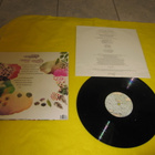 VILLE LEINONEN - ISI - LP - pikkukuva 2