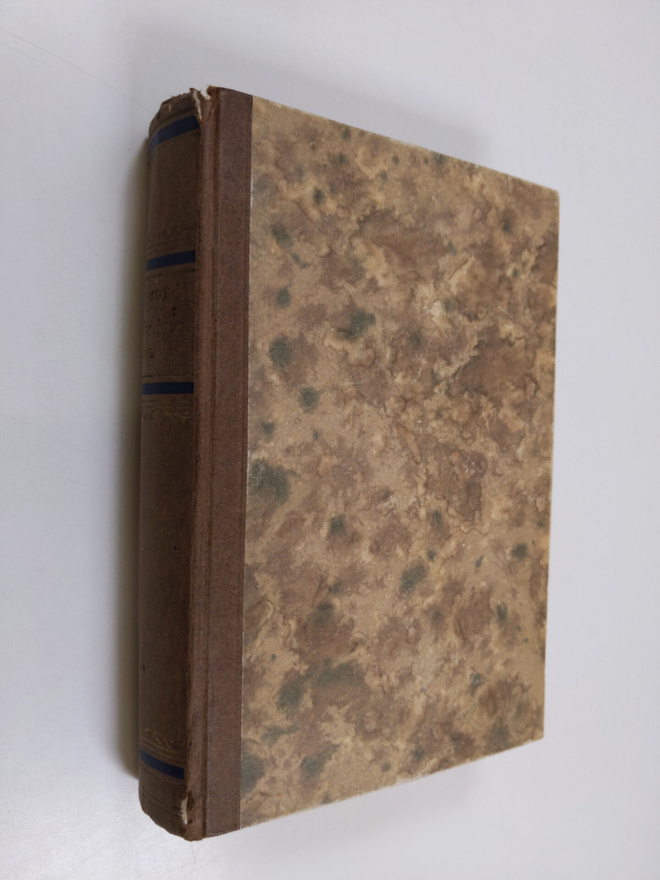 George Eliot : Mylly joen rannalla