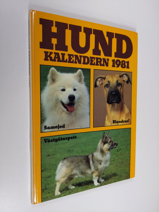 Ulla Barvefjord : Hundkalendern 1981