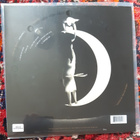 Tedeschi Trucks Band – I Am The Moon: I. Crescent uusi LP! - pikkukuva 2